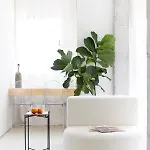 Home2book Design In Cruz Center * Santa Cruz de Tenerife